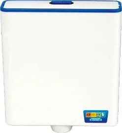 Platinium dual push flush tank