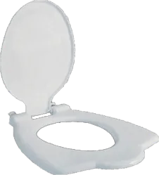 Anglo Indian seat cover